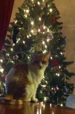 NWR: Lets See Your Fur Babies!