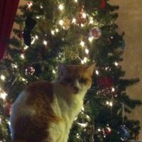 NWR: Lets See Your Fur Babies!