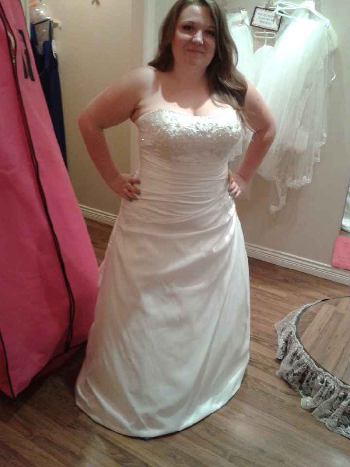 Pics of Dress Fitting