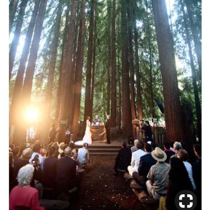 Forest/woods Venue help!