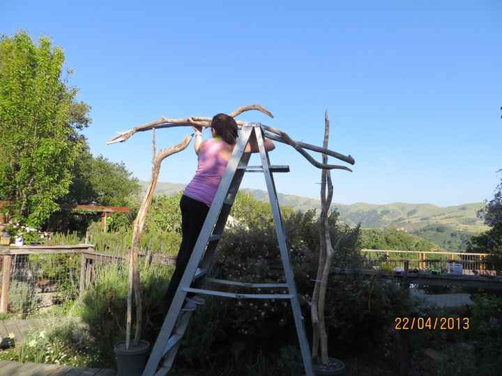 my DIY/Backyard wedding PRO PICS