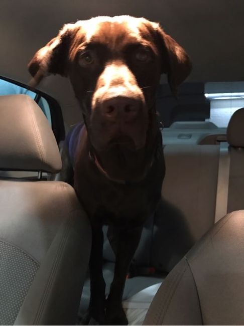 Update #2: I'm so devastated. NWR