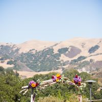 my DIY/Backyard wedding PRO PICS