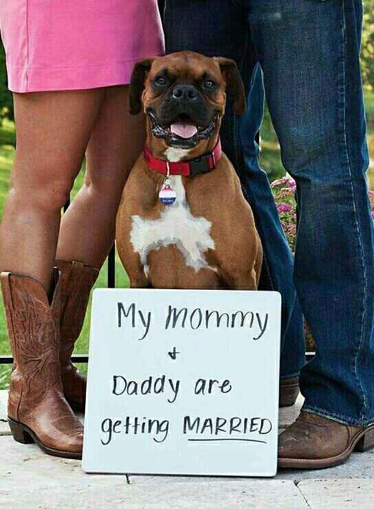 Announcement Ideas with my dog