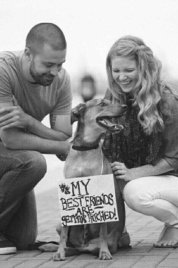 Announcement Ideas with my dog