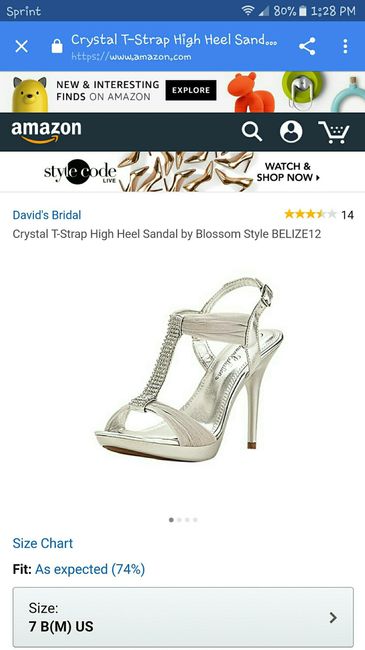 Wedding Shoes Vent and Advice