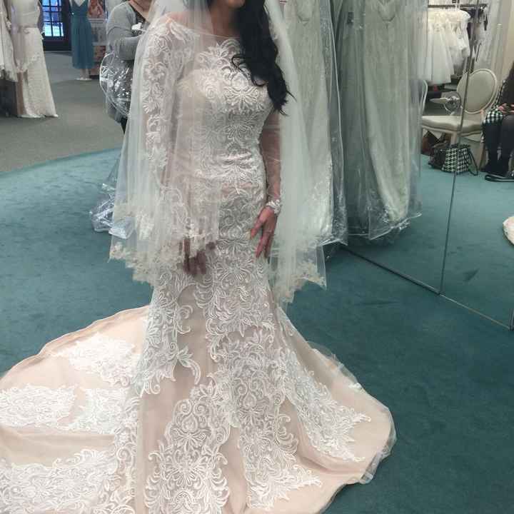  Show me your dresses! - 1