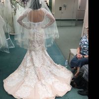 Are you going backless?? - 1