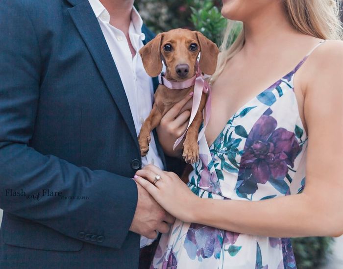 Introduction and E pics