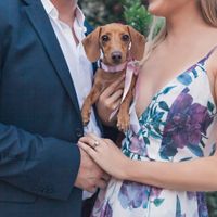 Introduction and E pics