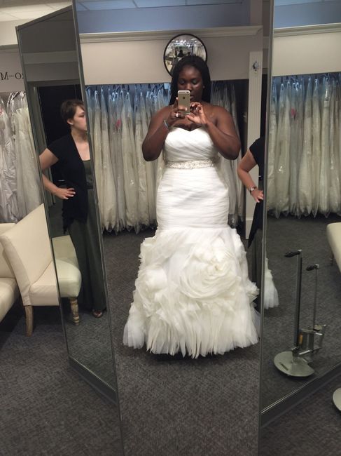 Where are my plus size brides?