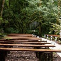 Wedding Ceremony