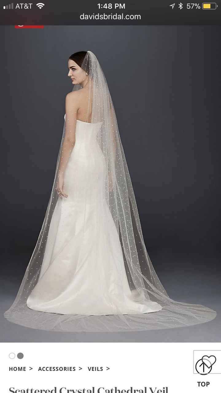  Going Crazy over the Veil! - 1