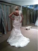 Bought My Gown TODAY!!! Pic of me in it!
