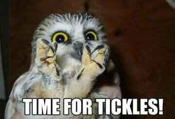 the wedding is off update