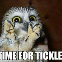 the wedding is off update