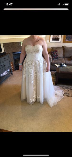 i found my dress today 3