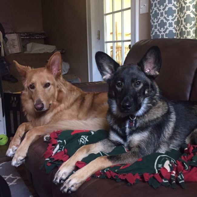 NWR- My fur kids