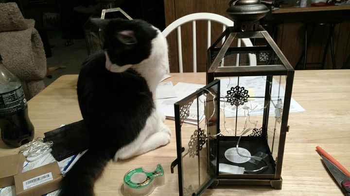 Centerpiece ideas
