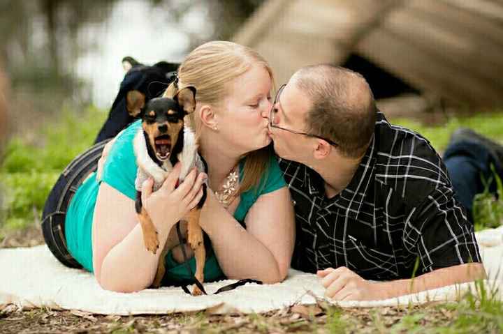 Dog in wedding/photos