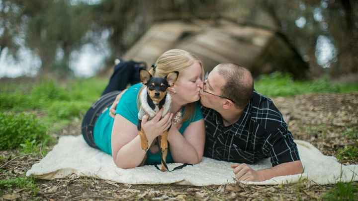 Fur babies with engagement/wedding photos