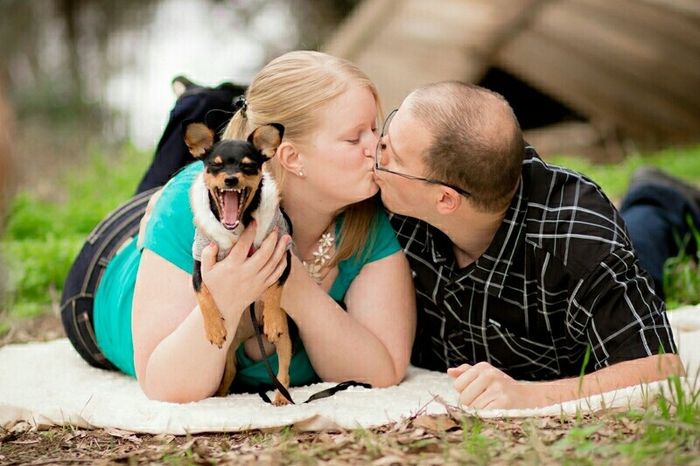 Dog in wedding. Anyone else?!