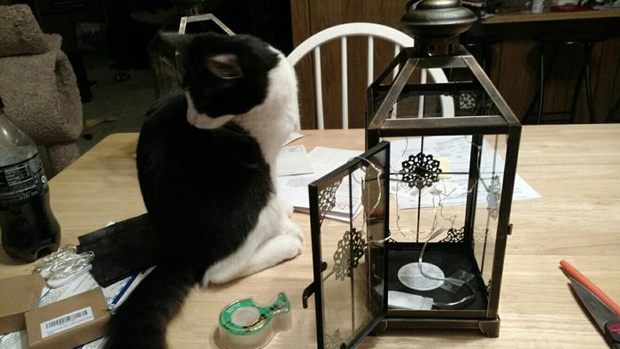 Centerpiece ideas