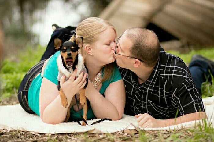 Dog in wedding/photos