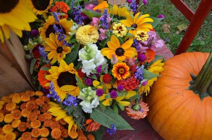 Inspo for bouquet! Just nice fall fun flowers and colors! Took this while on the way from from Monta