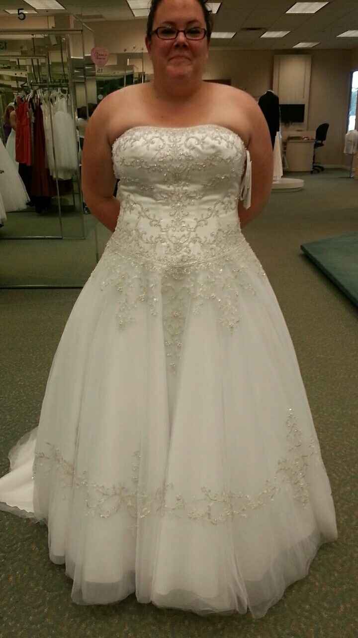 Hoop skirt or petticoat?