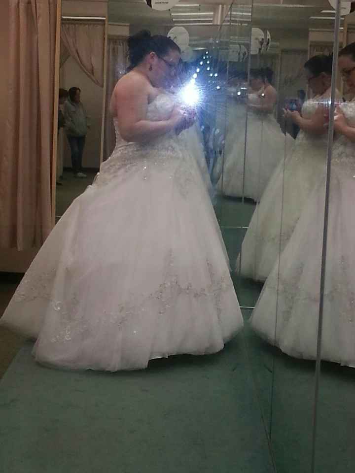 Hoop skirt or petticoat?