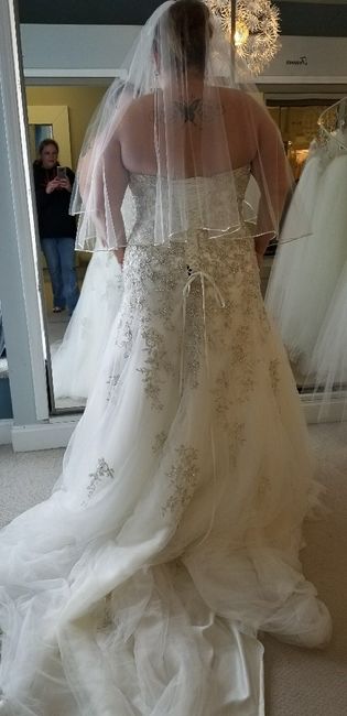 To Veil or Not to Veil 6