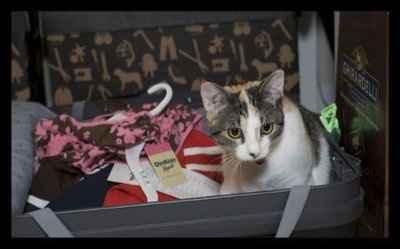 Let's see your pets!