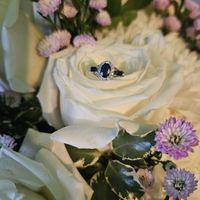 2026 Brides - Show us your ring! - 1