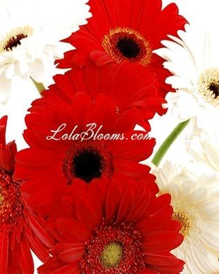 Lemme see your bouquets!