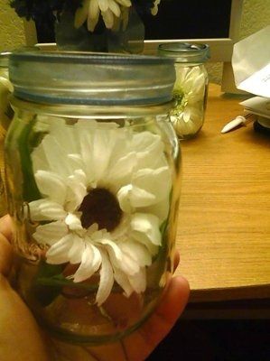 I joined WW because...