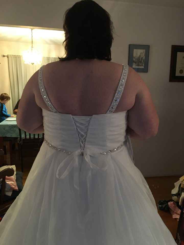 Under the dress - plus size help! - 1