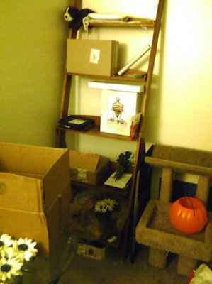 The wedding has eaten my office!