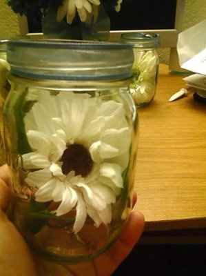 We've been busy! (pics)