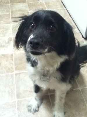 im bored and want to see pictures