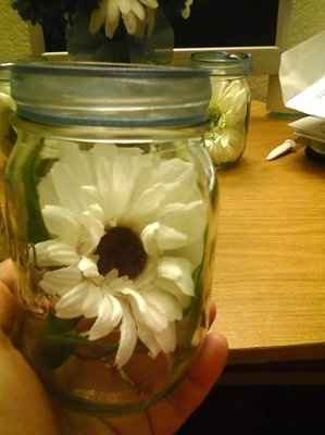 I joined WW because...