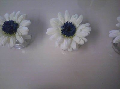 I've been a busy busy bee! DIY (PICs)