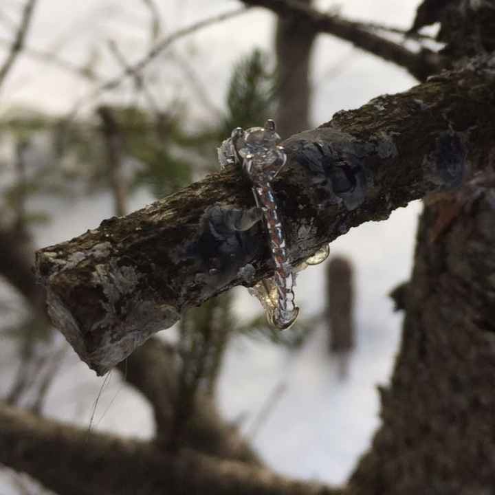 Show me your bling!!!!!!