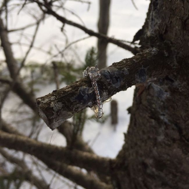 Engagement ring pictures?