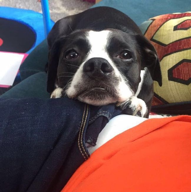 NWR: Show me your pups!