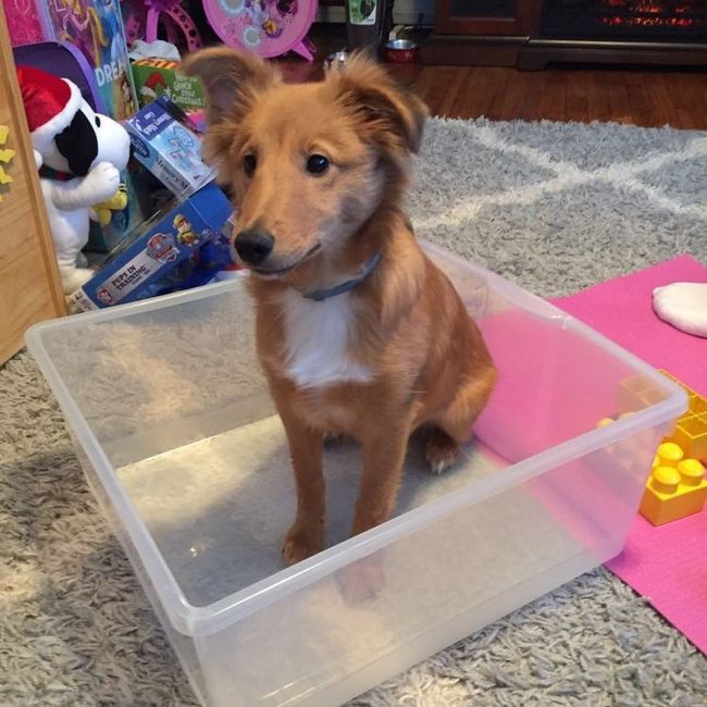 NWR: Show me your pups!