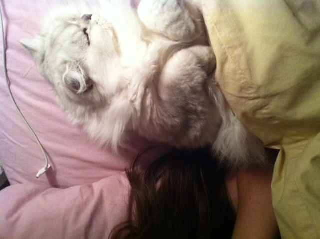 NWR:  It's Feline Friday...
