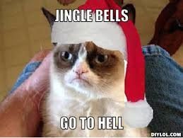 NWR: Holiday Cat Time :)