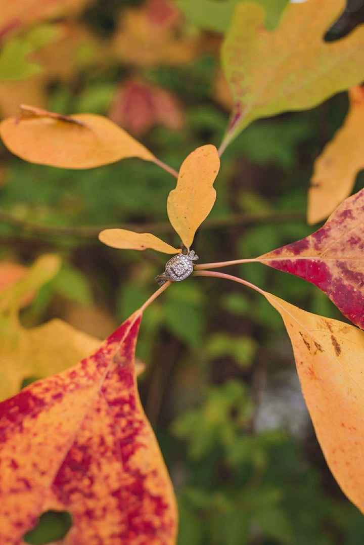 Small diamond ladiessssss.....Let me see those small diamond halo's (half carat and lower)
