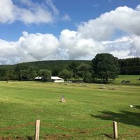 Best day ever ( lots of pics) - 6